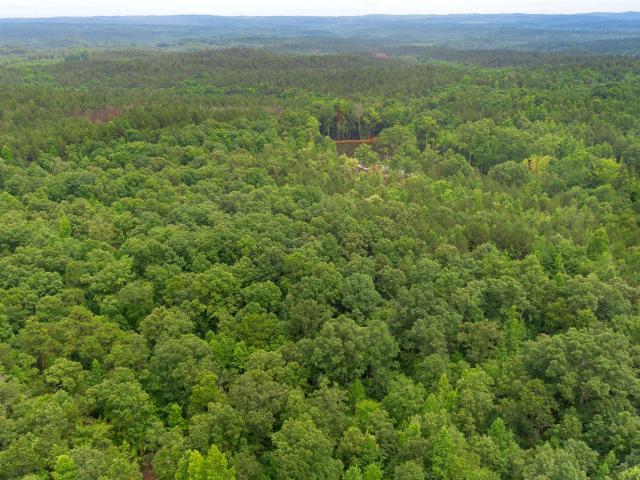Land for sale in Fruithurst, Alabama