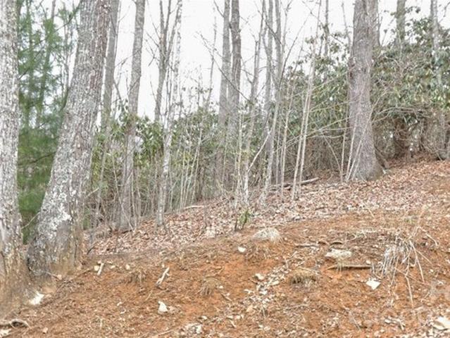Land for sale in Newland, Avery County