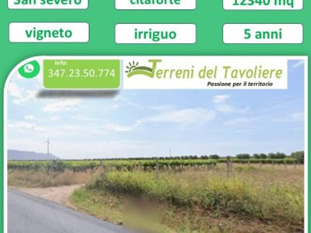 Terreno in vendita a Puglia, Foggia