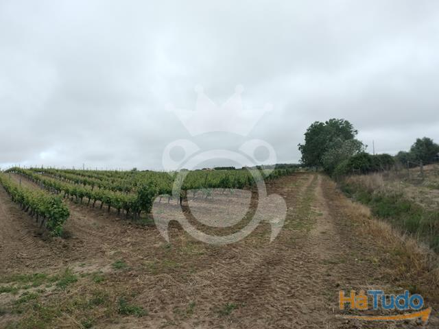 Terreno venda em Reguengos De Monsaraz, Évora