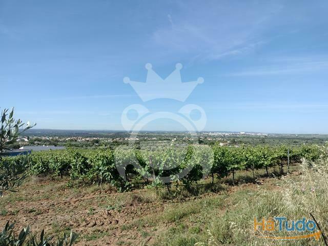 Terreno venda em Reguengos De Monsaraz, Évora