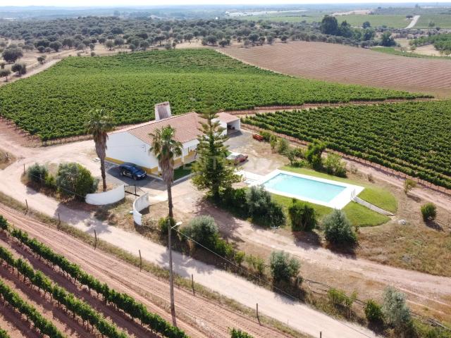 Terreno venda em Fonte do Imperador, Estremoz