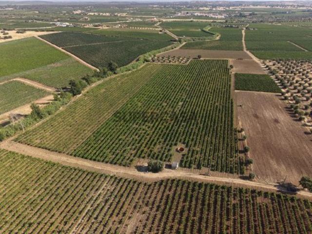 Terreno venda em Reguengos De Monsaraz, Évora