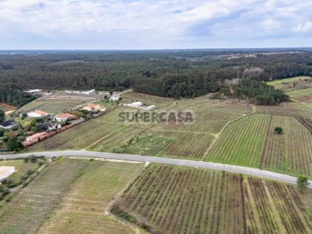 Terreno venda em Póvoa do Bispo, Cantanhede
