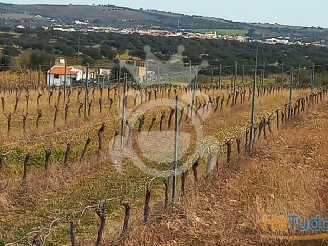 Terreno venda em Reguengos De Monsaraz, Évora
