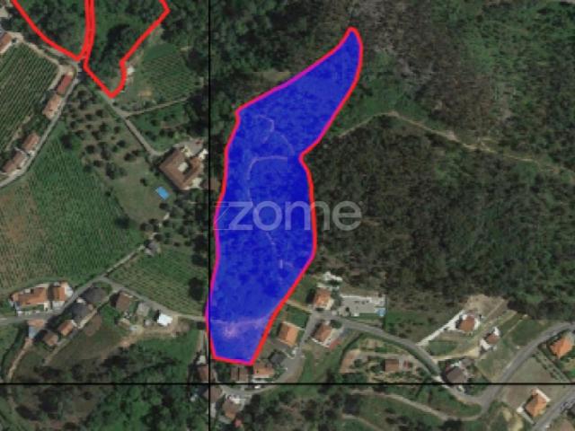Terreno venda em Fojos, Cabeceiras De Basto