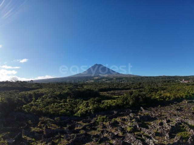 Terreno venda em Açores, Madalena