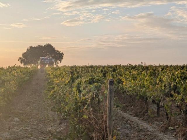 Terreno venda em Brancanes, Setúbal