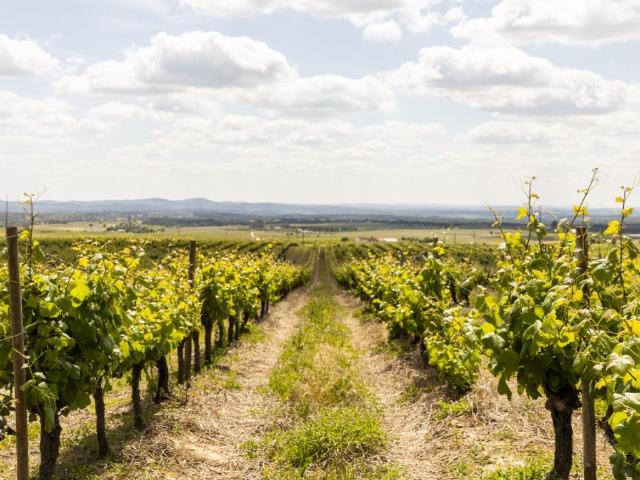 Vivenda venda em Ameixial (Santa Vitória e São Bento), Estremoz
