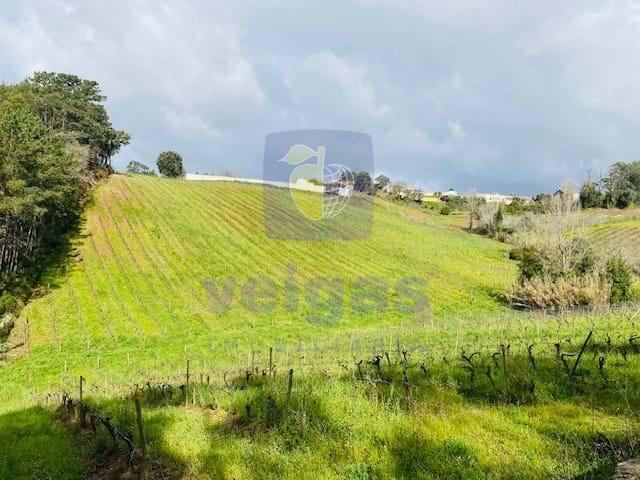 Terreno venda em Ramalhosa, Caldas Da Rainha