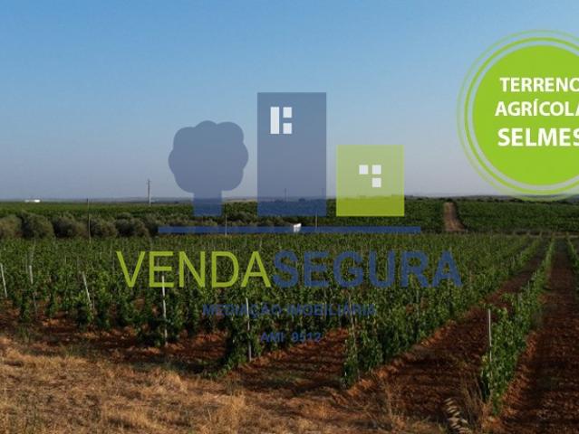 Terreno venda em Vidigueira, Beja
