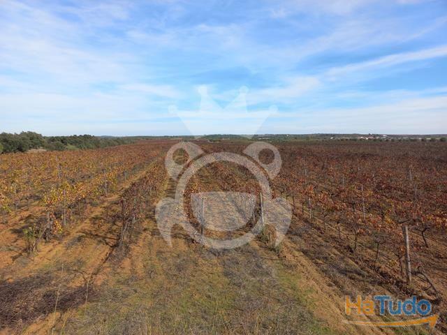 Terreno venda em Reguengos De Monsaraz, Évora