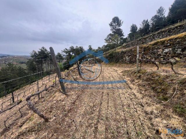 Terreno venda em Sabrosa, Vila Real