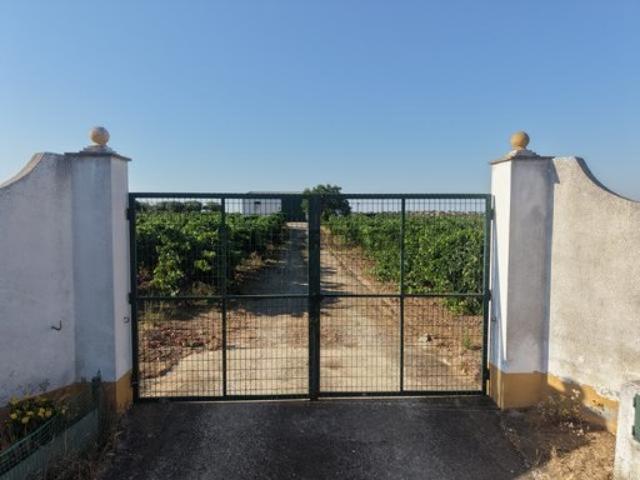Terreno venda em Reguengos De Monsaraz, Évora
