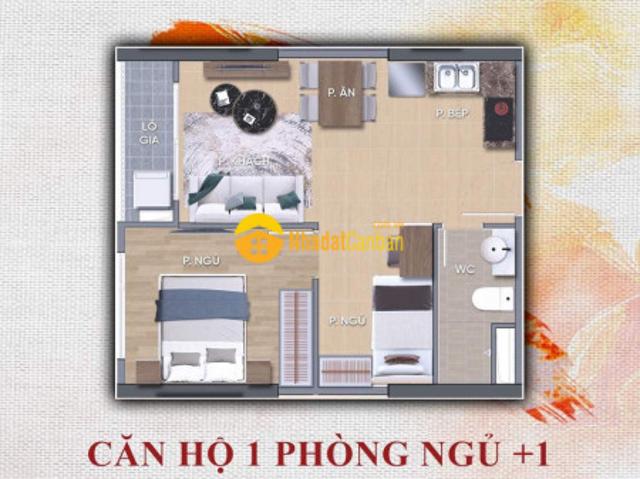 Căn hộ bán