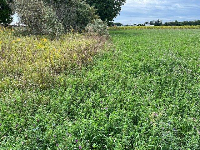 Land for sale in Lakeview, Michigan