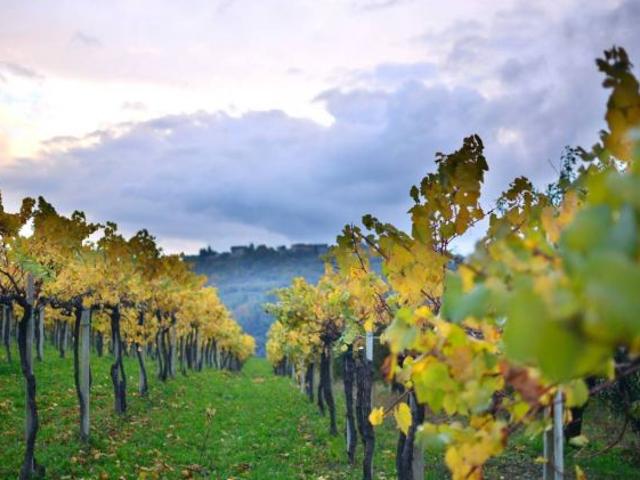 Terreno in vendita a Piemonte, Cuneo