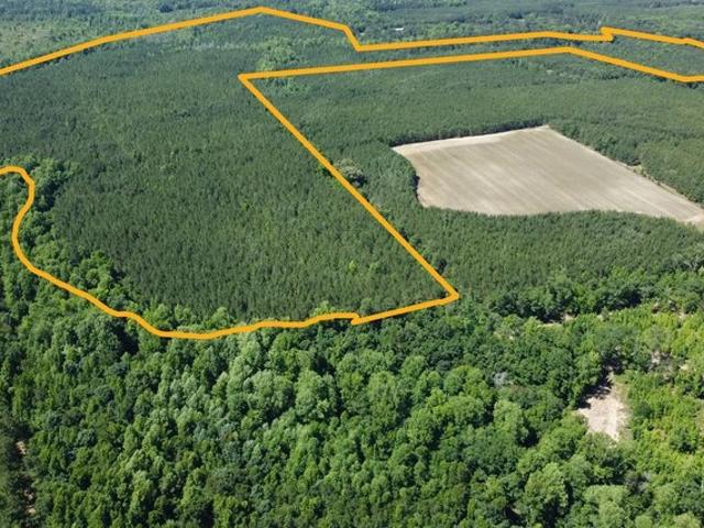 Land for sale in Elko, South Carolina
