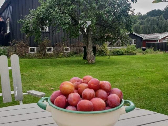 Rum hyra i Partille, Västra Götaland