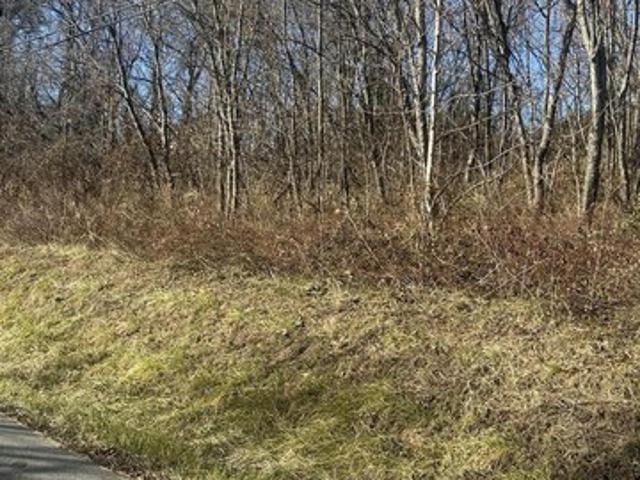 Land for sale in Virginia