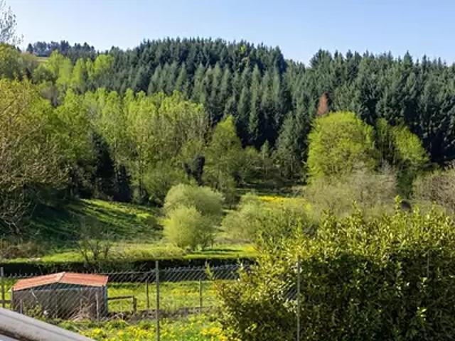 Maison vente à Roanne, Violay