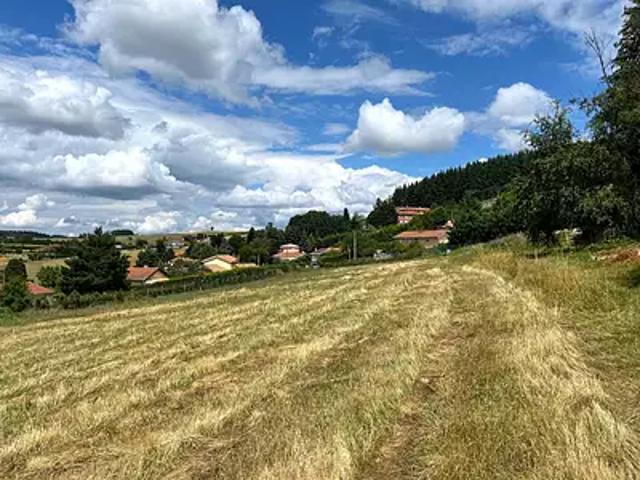 Terrain vente à Roanne, Violay