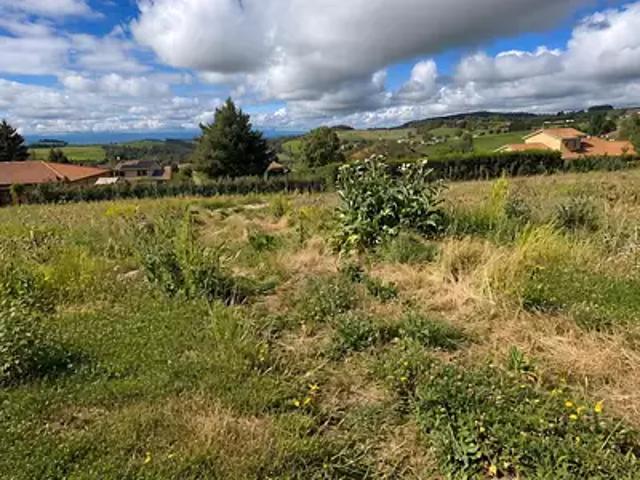 Terrain vente à Lotissement René Linder, Violay