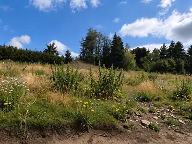 Terrain vente à Roanne, Violay