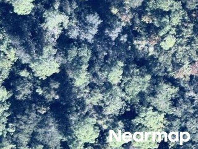 Land for sale in Florida