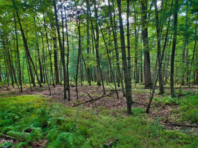 Land for sale in Highland Acres, Delaware Township