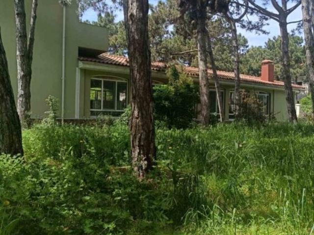 Дом аренда в Великодолинском, Днепропетровской области