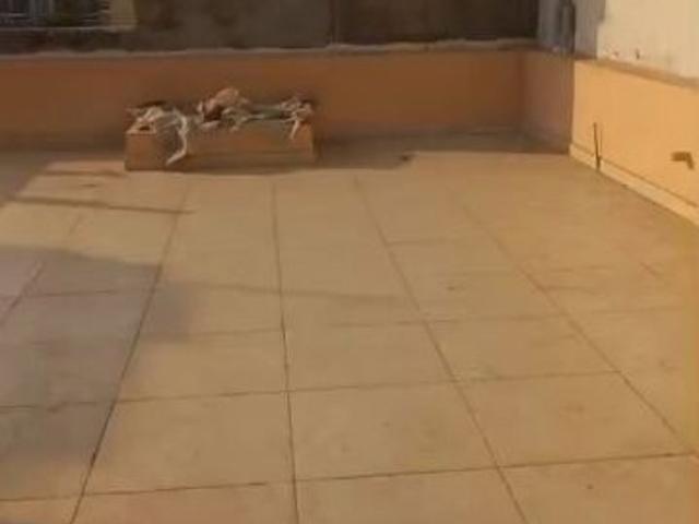 House for sale in Mohari, Punjab