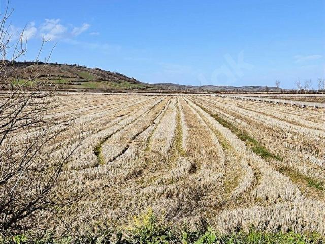 Bafra, Samsun içerisinde satılık Arsa