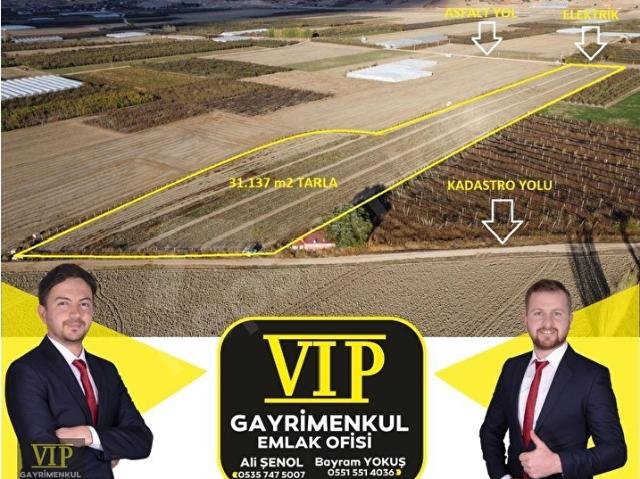 Yakaçiftlik, Elmalı içerisinde satılık Arsa