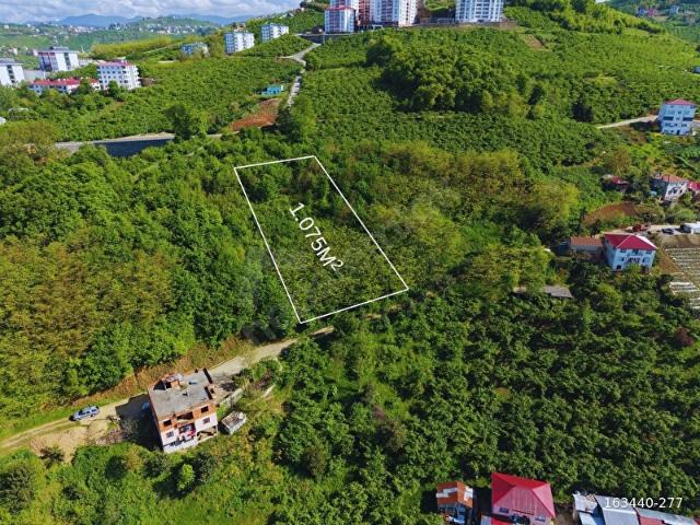 Bengisu, Ortahisar içerisinde satılık mülk