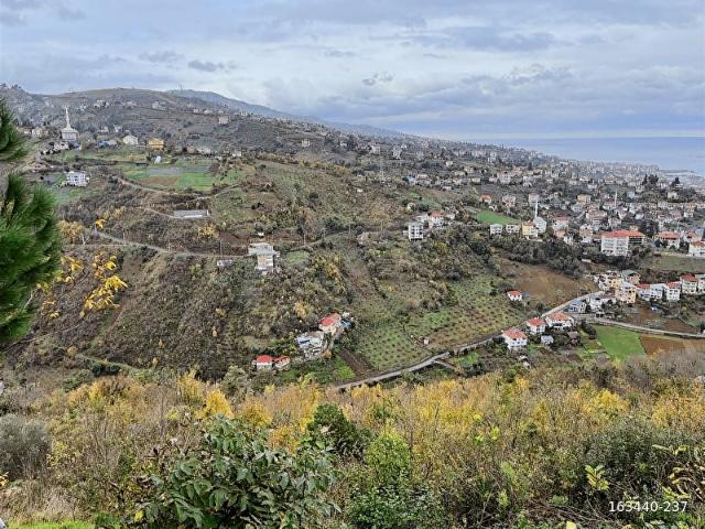 Helvacı, Akçaabat içerisinde satılık Arsa