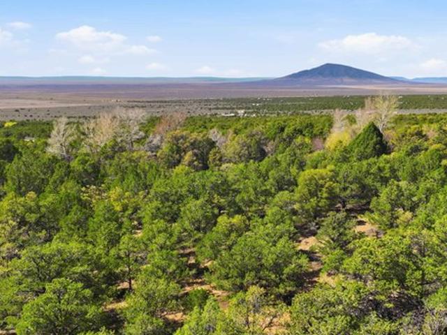 Land for sale in Costilla, New Mexico