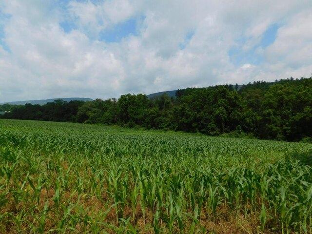 Land for sale in Lewistown