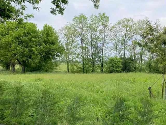 Terrain vente à France métropolitaine, Virazeil