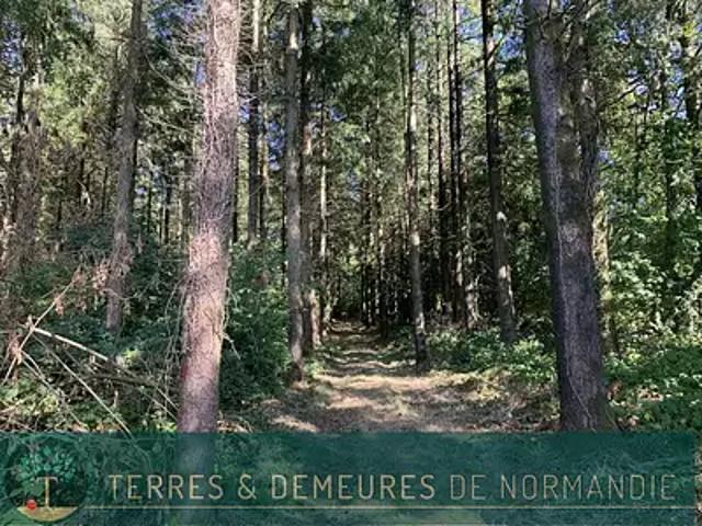 Terrain vente à Vire, Vire Normandie