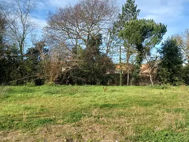 Terrain vente à Langon, Virelade