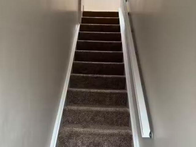 Apartment to rent