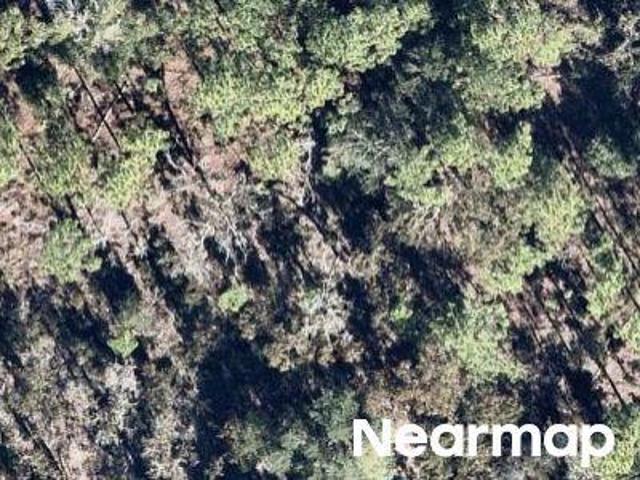 Land for sale in Hawthorne, Florida
