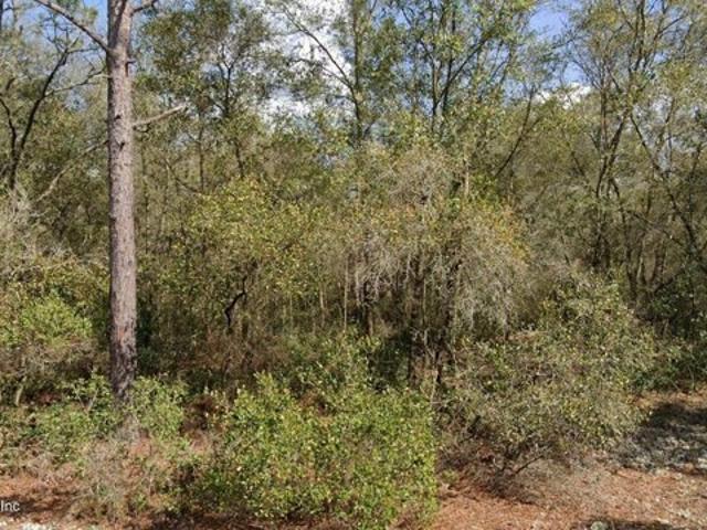 Land for sale in Interlachen Land for sale in Interlachen