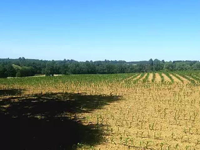 Terrain vente à Bourg-en-Bresse, Viriat