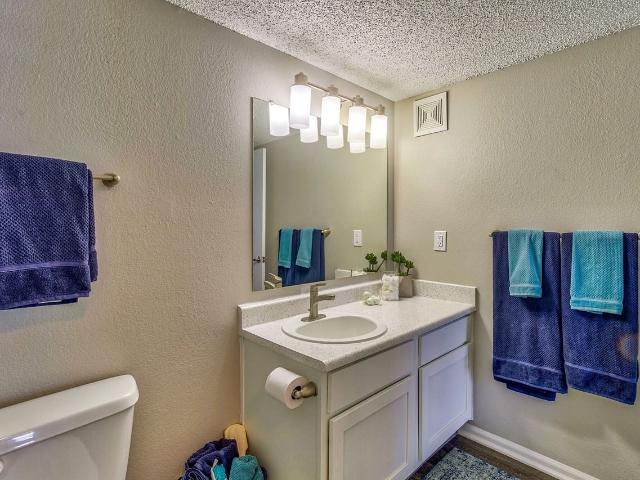 Apartment for rent in Colorado Springs, Colorado