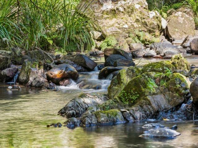 Cottage for sale in Upper Bilambil, Tweed Shire Council