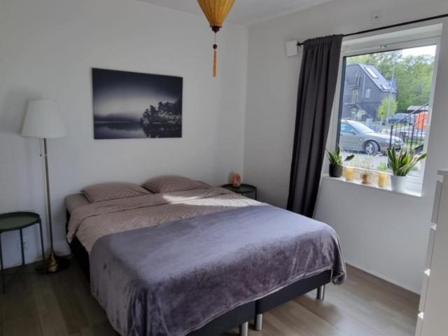 Lägenhet hyra i Visby, Gotland