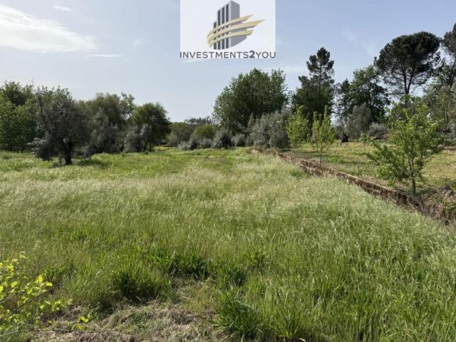 Terreno venda em Carregal Do Sal, Viseu