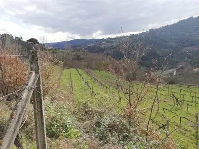 Terreno venda em Viseu